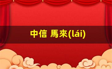 中信 馬來(lái)西亞 簽證(中信銀行馬來(lái)西亞幣換人民幣)